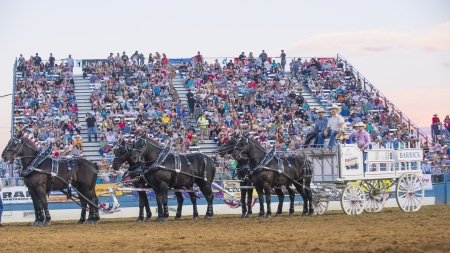 RENO , USA - JUNE 30 : Horse-drawn wagon Participate at the Reno Rodeo a Professional Rodeo held in Reno Nevada , USA on June 30 2013 のeditorial素材