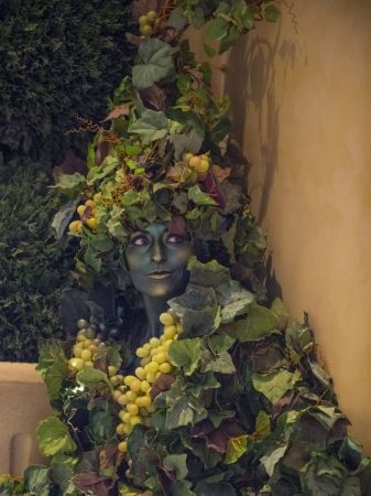 LAS VEGAS - JULY 16 : Performer dressed in costume at the Carnevale experience festival in the Venetian Hotel in Las Vegas on July 16, 2013. のeditorial素材