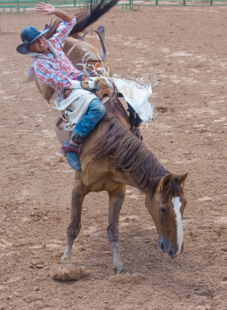 
GALLUP , NEW MEXICO - AUGUST 10 : Cowboy Participates in a Bucking Horse Competition at the 92nd annual Indian Rodeo in Gallup, NM on August 10 2013 

のeditorial素材