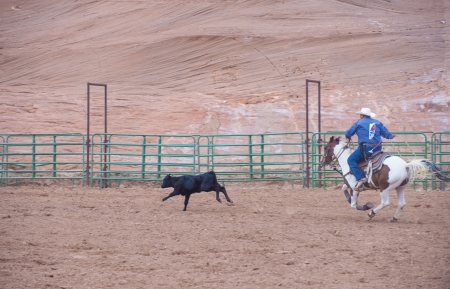 GALLUP , NEW MEXICO - AUGUST 10 : Cowboy Participates in in a Calf roping Competition at the 92nd...
