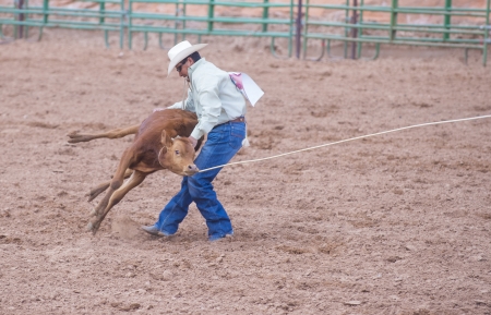 GALLUP , NEW MEXICO - AUGUST 10 : Cowboy Participates in in a Calf roping Competition at the 92nd annual Indian Rodeo in Gallup, NM on August 10 2013のeditorial素材