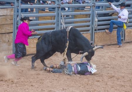 GALLUP , NEW MEXICO - AUGUST 10 : Cowboys Participates in a bull riding Competition at the 92nd annual Indian Rodeo in Gallup, NM on August 10 2013 のeditorial素材
