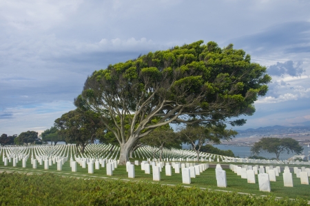United States Military Cemetery in Point Loma San Diego, Californiaのeditorial素材