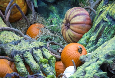 LAS VEGAS - OCT 23 Fall season in Bellagio Hotel Conservatory & Botanical Gardens on October 24, 2013 in Las Vegas. There are five seasonal themes that the Conservatory undergoes each year.のeditorial素材