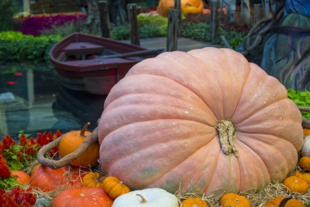 LAS VEGAS - OCT 23 Fall season in Bellagio Hotel Conservatory & Botanical Gardens on October 23, 2013 in Las Vegas. There are five seasonal themes that the Conservatory undergoes each year.のeditorial素材