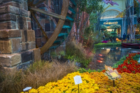 LAS VEGAS - OCT 23 Fall season in Bellagio Hotel Conservatory & Botanical Gardens on October 23 2013 in Las Vegas. There are five seasonal themes that the Conservatory undergoes each year.のeditorial素材