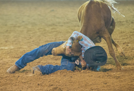 LOGANDALE , NEVADA - APRIL 10 : Cowboy Participating in a Steer wrestling Competition at the Clark County Fair and Rodeo a Professional Rodeo held in Logandale Nevada , USA on April 10 2014 のeditorial素材