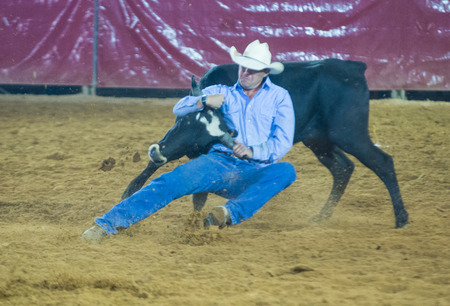 LOGANDALE , NEVADA - APRIL 10 : Cowboy Participating in a Steer wrestling Competition at the Clark...