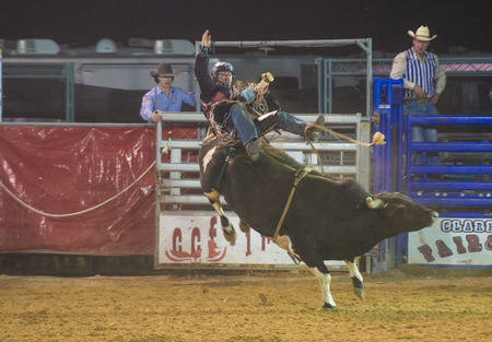 LOGANDALE , NEVADA - APRIL 10 : Cowboy Participating in a Bull riding Competition at the Clark County Fair and Rodeo a Professional Rodeo held in Logandale Nevada , USA on April 10 2014 のeditorial素材