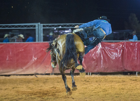 LOGANDALE , NEVADA - APRIL 10 : Cowboy Participating in a Bucking Horse Competition at the Clark County Fair and Rodeo a Professional Rodeo held in Logandale Nevada , USA on April 10 2014 のeditorial素材