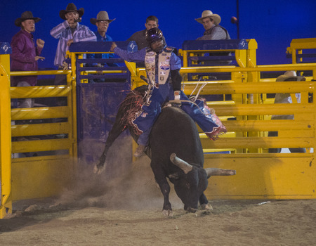 LAS VEGAS - MAY 16 : Cowboy Participating in a Bull riding Competition at the Helldorado days Rodeo...