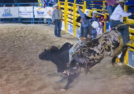 LAS VEGAS - MAY 16 : Cowboy Participating in a Bull riding Competition at the Helldorado days Rodeo , A professional Rodeo held in Las Vegas , Nevada on May 16 , 2014 のeditorial素材