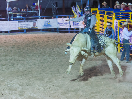 LAS VEGAS - MAY 16 : Cowboy Participating in a Bull riding Competition at the Helldorado days Rodeo , A professional Rodeo held in Las Vegas on May 16 , 2014 のeditorial素材