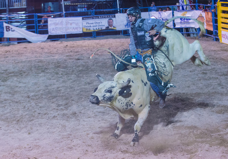 LAS VEGAS - MAY 16 : Cowboy Participating in a Bull riding Competition at the Helldorado days Rodeo , A professional Rodeo held in Las Vegas , Nevada on May 16 , 2014 のeditorial素材