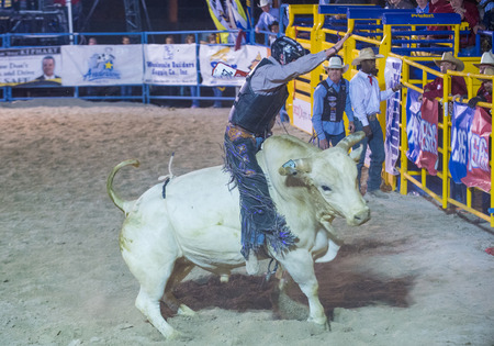 LAS VEGAS - MAY 16 : Cowboy Participating in a Bull riding Competition at the Helldorado days Rodeo , A professional Rodeo held in Las Vegas , Nevada on May 16 , 2014 のeditorial素材
