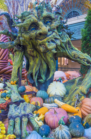 LAS VEGAS - SEP 18 : Fall season in Bellagio Hotel Conservatory & Botanical Gardens on September 18, 2014 in Las Vegas. There are five seasonal themes that the Conservatory undergoes each year.のeditorial素材