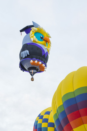 ALBUQUERQUE, NEW MEXICO - OCTOBER 11: Balloon fly over Albuquerque on October 11, 2014 in Albuquerque, New Mexico. Albuquerque balloon fiesta is the biggest balloon event in the the world.のeditorial素材
