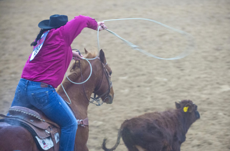 LAS VEGAS - NOV 05 : Cowgirl Participating in a Calf roping Competition at the Indian national finals rodeo held in Las Vegas, Nevada on November 05 2014のeditorial素材