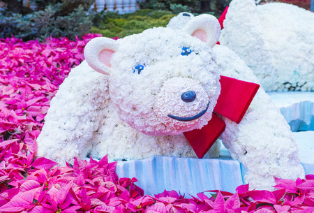 LAS VEGAS - DEC 08 : Winter season in Bellagio Hotel Conservatory & Botanical Gardens on December 08 ,2014 in Las Vegas. There are five seasonal themes that the Conservatory undergoes each year.のeditorial素材