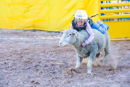LOGANDALE , NEVADA - APRIL 10 : A boy riding on a sheep during a Mutton Busting contest at the Clark County Fair and Rodeo a Professional Rodeo held in Logandale Nevada , USA on April 10 2015のeditorial素材