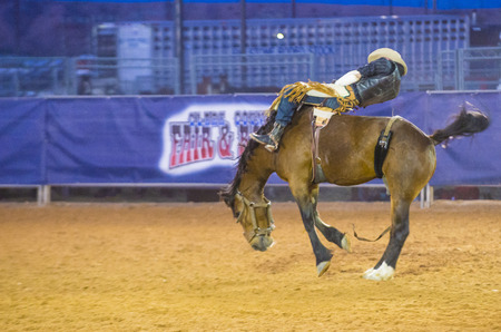 LOGANDALE , NEVADA - APRIL 10 : Cowboy Participating in a Bucking Horse Competition at the Clark County Fair and Rodeo a Professional Rodeo held in Logandale Nevada , USA on April 10 2015のeditorial素材