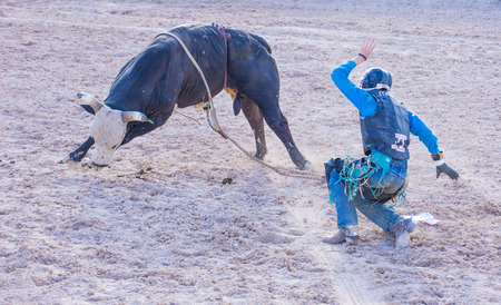 LAS VEGAS - MAY 17 : Cowboy Participating in a Bull riding Competition at the Helldorado days Rodeo , A professional Rodeo held in Las Vegas , Nevada on May 17 , 2015のeditorial素材