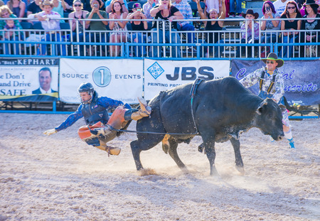 LAS VEGAS - MAY 17 : Cowboy Participating in a Bull riding Competition at the Helldorado days Rodeo , A professional Rodeo held in Las Vegas , Nevada on May 17 , 2015のeditorial素材