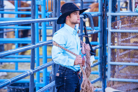 LAS VEGAS - MAY 16 : Cowboy preparing for the Helldorado days Rodeo , A professional rodeo held in Las Vegas, Nevada on May 16 , 2015のeditorial素材