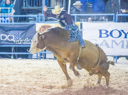 LAS VEGAS - MAY 16 : Cowboy Participating in a Bull riding Competition at the Helldorado days Rodeo , A professional Rodeo held in Las Vegas , Nevada on May 16 , 2015のeditorial素材
