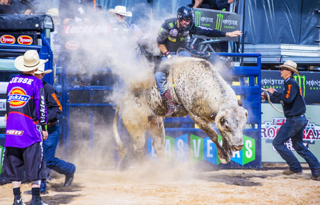 LAS VEGAS - MAY 23 : Cowboy Participating in a Bull riding Competition at the Las Cowboy Standing , a PBR cometition with the fifty of the top bull riders in the world held in Las Vegas on May 23 , 2015のeditorial素材