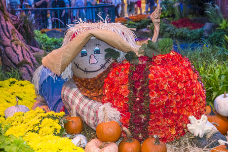 LAS VEGAS - OCT 15 : Fall season in Bellagio Hotel Conservatory & Botanical Gardens on October 15 , 2015 in Las Vegas. There are five seasonal themes that the Conservatory undergoes each year.のeditorial素材