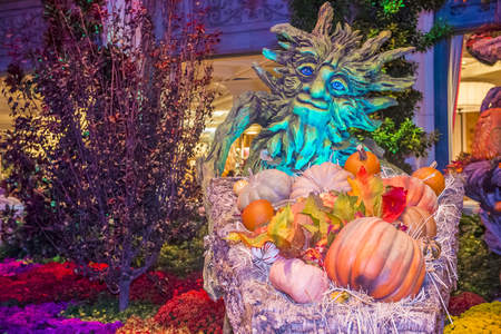 LAS VEGAS - OCT 15 : Fall season in Bellagio Hotel Conservatory & Botanical Gardens on October 15 , 2015 in Las Vegas. There are five seasonal themes that the Conservatory undergoes each year.のeditorial素材