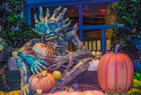 LAS VEGAS - OCT 15 : Fall season in Bellagio Hotel Conservatory & Botanical Gardens on October 15 , 2015 in Las Vegas. There are five seasonal themes that the Conservatory undergoes each year.のeditorial素材