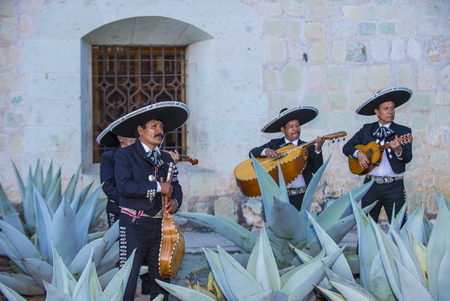 OAXACA , MEXICO  - NOV 02 : Mariachis perform during the carnival of the Day of the Dead in Oaxaca, Mexico, on November 02 2015. The Day of the Dead is one of the most popular holidays in Mexicoのeditorial素材