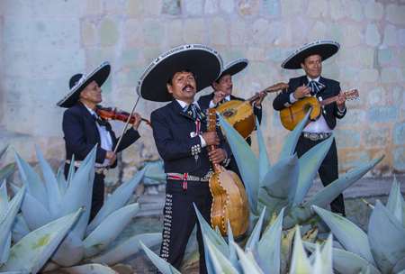 OAXACA , MEXICO  - NOV 02 : Mariachis perform during the carnival of the Day of the Dead in Oaxaca, Mexico, on November 02 2015. The Day of the Dead is one of the most popular holidays in Mexicoのeditorial素材