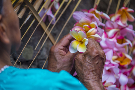 PANCHIMALCO , EL SALVADOR - MAY 08 : A Salvadoran woman decorates palm fronds with flowers during the Flower & Palm Festival in Panchimalco, El Salvador on May 08 2016のeditorial素材