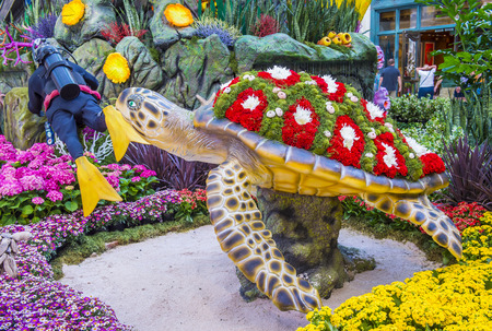 LAS VEGAS - MAY 21 : Summer season in Bellagio Hotel Conservatory & Botanical Gardens on May 21 , 2016 in Las Vegas. There are five seasonal themes that the Conservatory undergoes each year.のeditorial素材