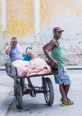 HAVANA, CUBA - JULY 18 : A Cuban rickshaw driver in old Havana street on July 18 2016.  Rickshaw are a popular way of transport in Cubaのeditorial素材