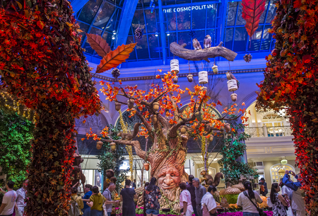 LAS VEGAS - OCT 05 : Fall season in Bellagio Hotel Conservatory & Botanical Gardens on October 05 , 2016 in Las Vegas. There are five seasonal themes that the Conservatory undergoes each year.のeditorial素材