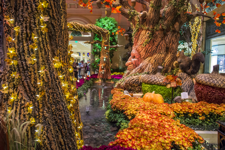 LAS VEGAS - OCT 05 : Fall season in Bellagio Hotel Conservatory & Botanical Gardens on October 05 , 2016 in Las Vegas. There are five seasonal themes that the Conservatory undergoes each year.のeditorial素材