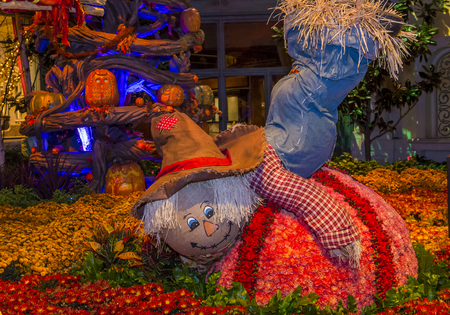 LAS VEGAS - NOV 08 : Fall season in Bellagio Hotel Conservatory & Botanical Gardens on November 08 , 2016 in Las Vegas. There are five seasonal themes that the Conservatory undergoes each year.のeditorial素材