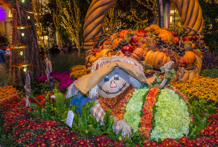 LAS VEGAS - NOV 08 : Fall season in Bellagio Hotel Conservatory & Botanical Gardens on November 08 , 2016 in Las Vegas. There are five seasonal themes that the Conservatory undergoes each year.のeditorial素材