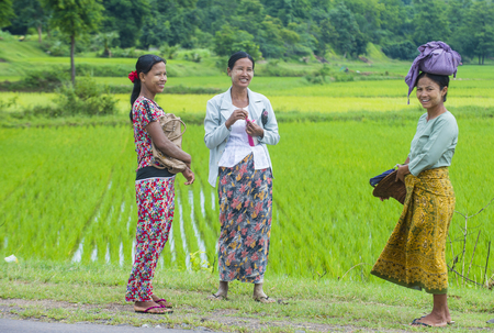 SHAN STATE , MYANMAR - SEP 06:  Burmese women working at a rice field in Shan state Myanmar on September 06 2017 Myanmar is the world's sixth largest rice producing countryのeditorial素材