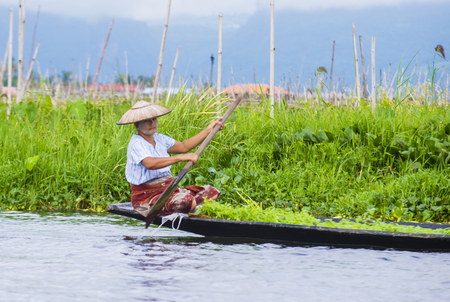 INLE LAKE , MYANMAR - SEP 07 : Intha woman on her boat in Inle lake Myanmar on September 07 2017 , inle Lake is a freshwater lake located in Shan stateのeditorial素材