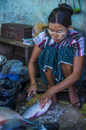 SHAN STATE , MYANMAR - SEP 06 : Burmese woman selling fishes in a market in Shan state Myanmar on September 06 2017. Agriculture is the main industry in Myanmarのeditorial素材