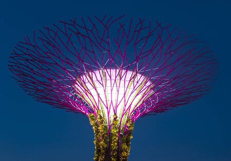 SINGAPORE - FEB 22 : Supertree in Gardens by the Bay in Singapore on Februery 22 2018. It is a music and light show when trees are illuminated by different colorsのeditorial素材