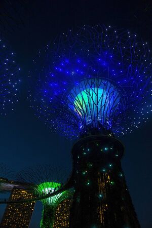 SINGAPORE - FEB 22 : Supertrees in Gardens by the Bay in Singapore on Februery 22 2018. It is a music and light show when trees are illuminated by different colorsのeditorial素材