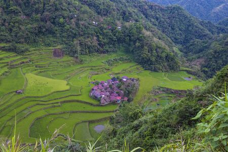 View of rice terraces fields in Banaue, Philippines. The Banaue rice terraces are UNESCO world heritage site since 1995のeditorial素材