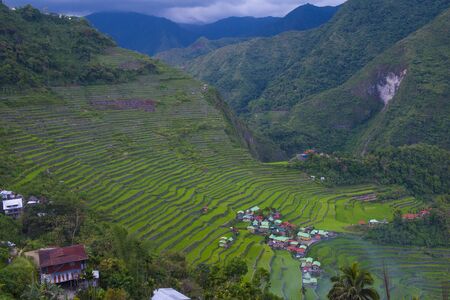 View of rice terraces fields in Banaue, Philippines. The Banaue rice terraces are UNESCO world heritage site since 1995のeditorial素材