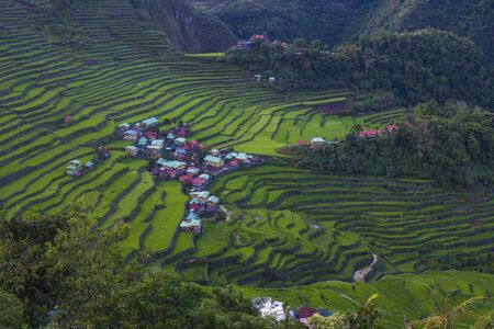 View of rice terraces fields in Banaue, Philippines. The Banaue rice terraces are UNESCO world heritage site since 1995のeditorial素材